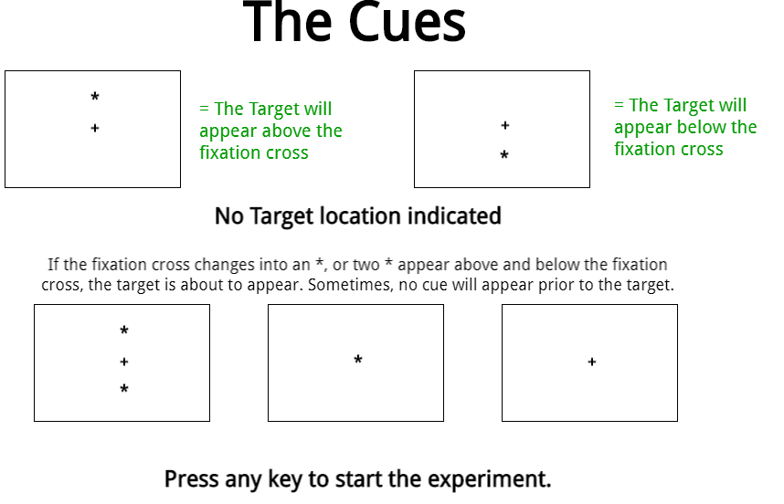Targets can be preceded by five different types of cues.
