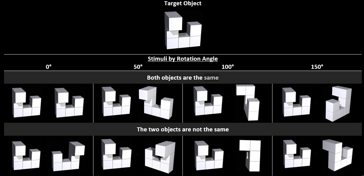 Object 1 in the stimuli set created by Ganis and Kievit (2015). Each Object features in 8 picture pairs. Four of these pairs show the same object twice but at different rotation angles. The other four pictures show the object next to a different object, also at different degrees of rotation.